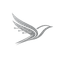 Promptfly icon